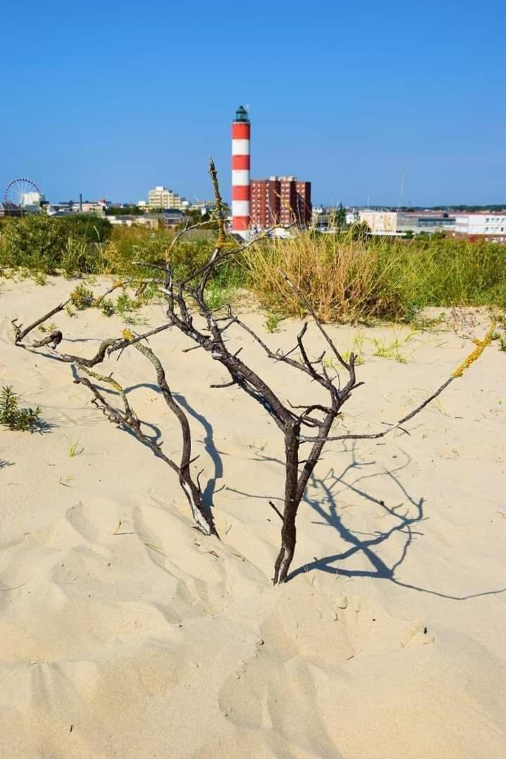 L'Alteia - L'Appartement Les Pieds Dans L'Eau Avec Place De Parking Prive Et Acces Direct A La Plage Berck Экстерьер фото